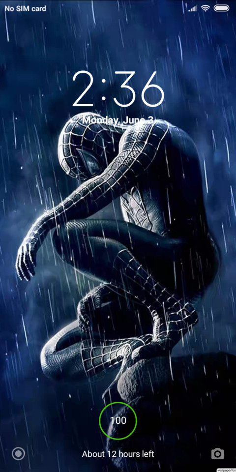 Spidy_DWM19 preview