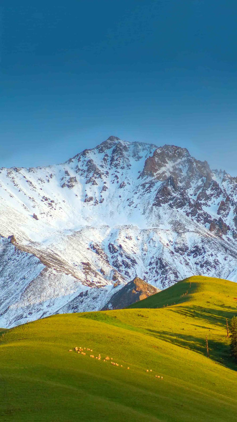 Can it still be gansu without it preview