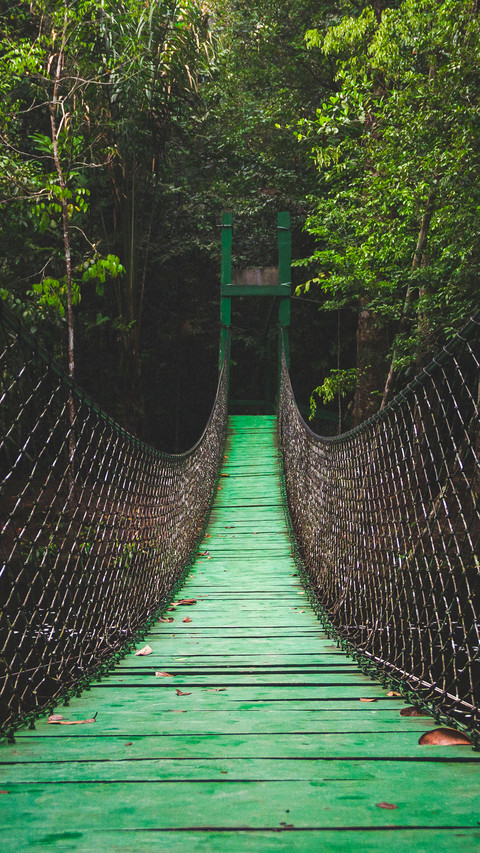 Bridge (14) preview
