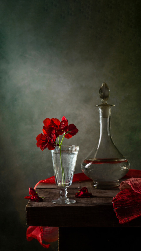 Modern still life with a geranium on a dark background preview