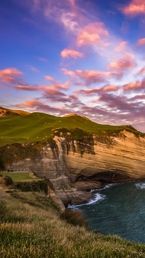 Recommended attractions in New Zealand 67 preview