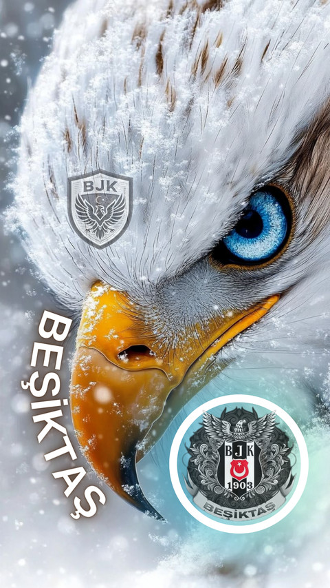 BJK-6 preview