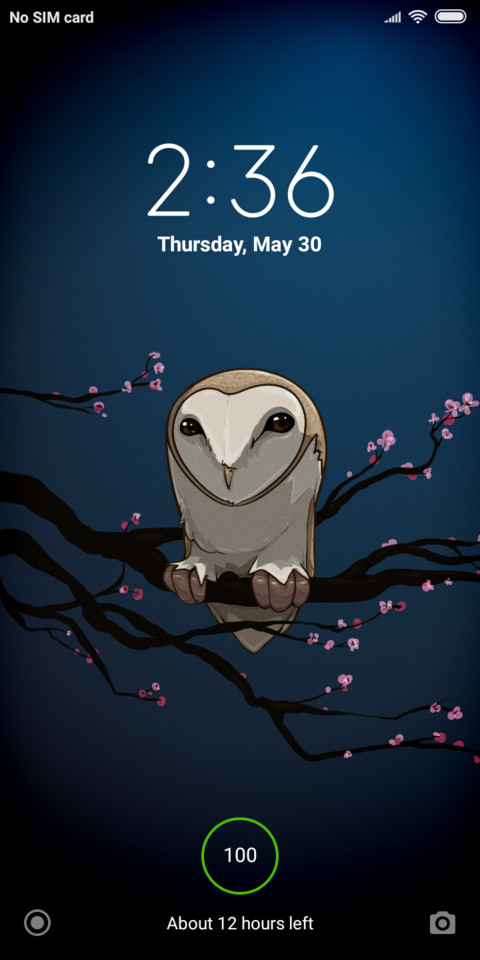 NightOwl_DWM19 preview