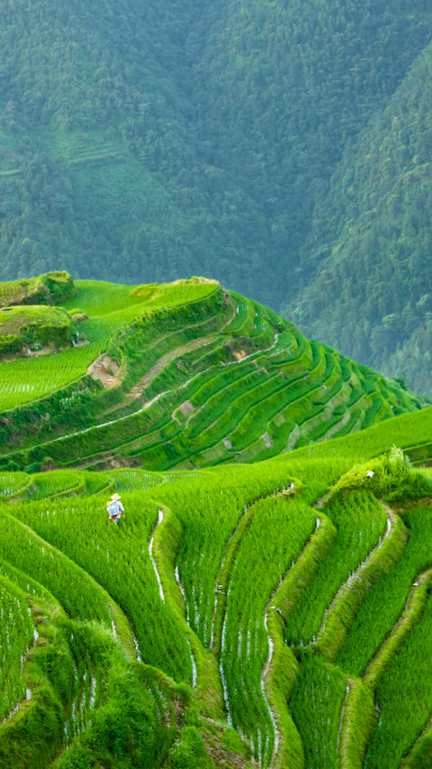 Terraces in Yunnan preview