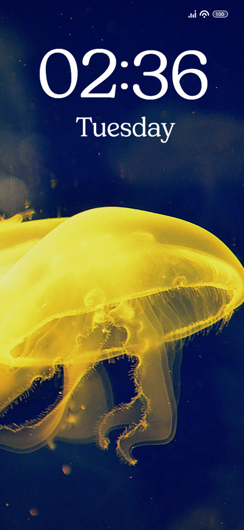 Yellow Fish preview