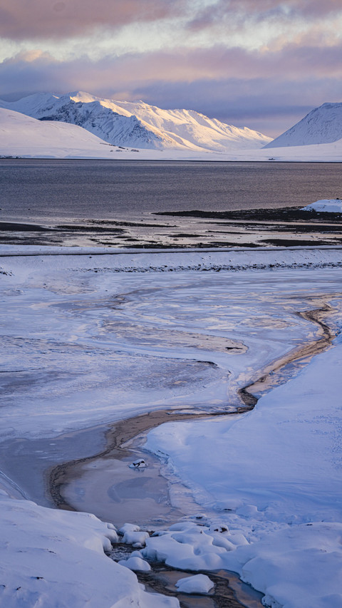 Iceland winter snowfield scenery preview