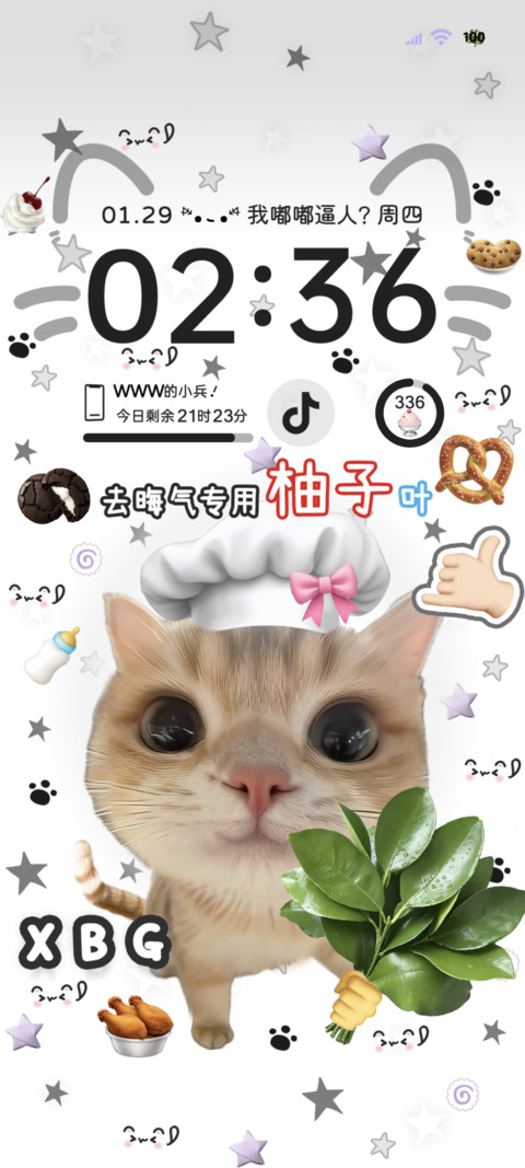 抽象小猫大厨 preview