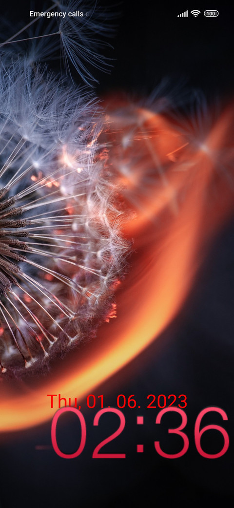 fire dandelion preview