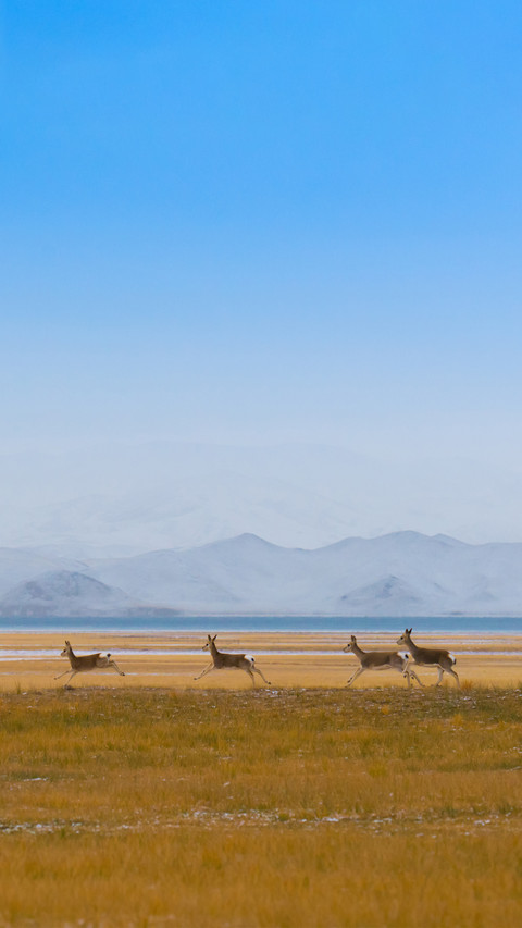 Top 5 Places to Visit in China 8 preview