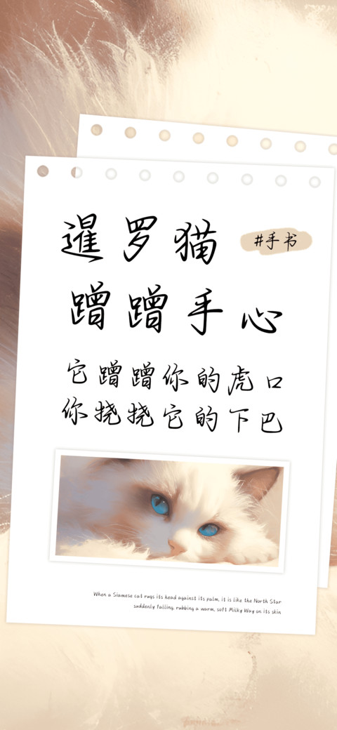 暹罗猫蹭蹭手心 preview