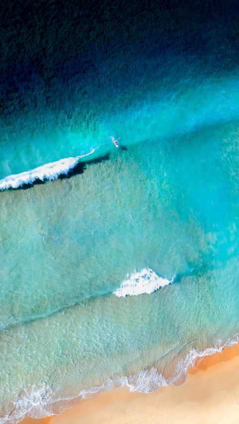 Oceans Day (12) preview