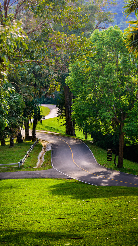 Green forest trails preview