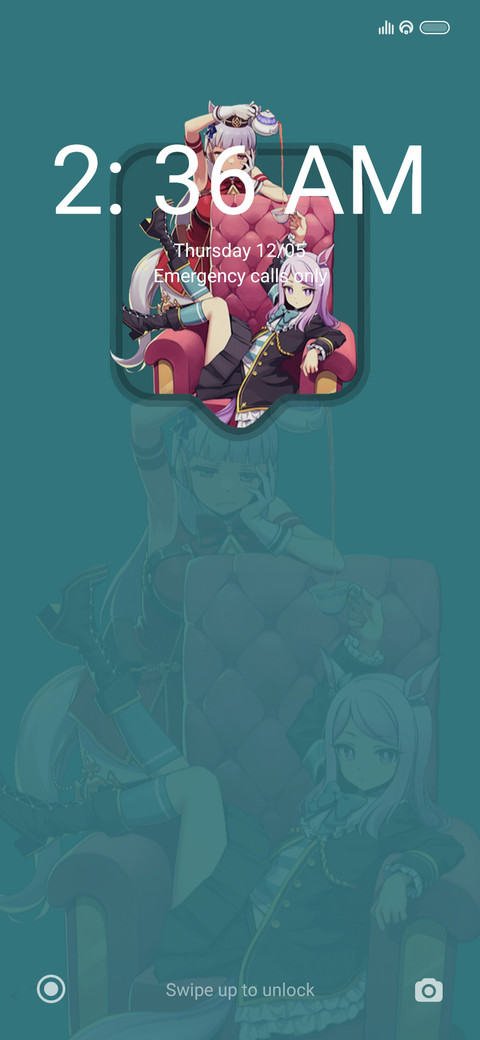 animeSetup preview