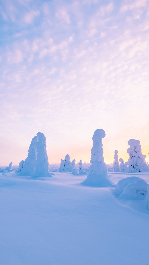 Winter landscape at sunset in Lapland preview