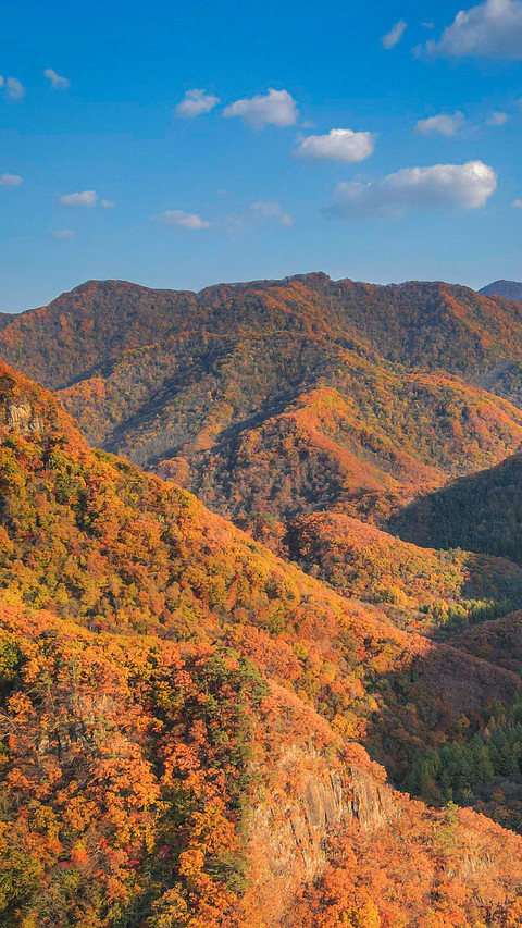 The autumn charm paints all the peaks preview