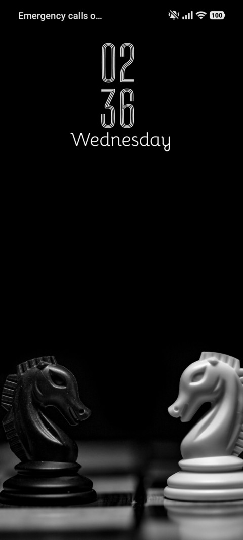Silent Figure preview