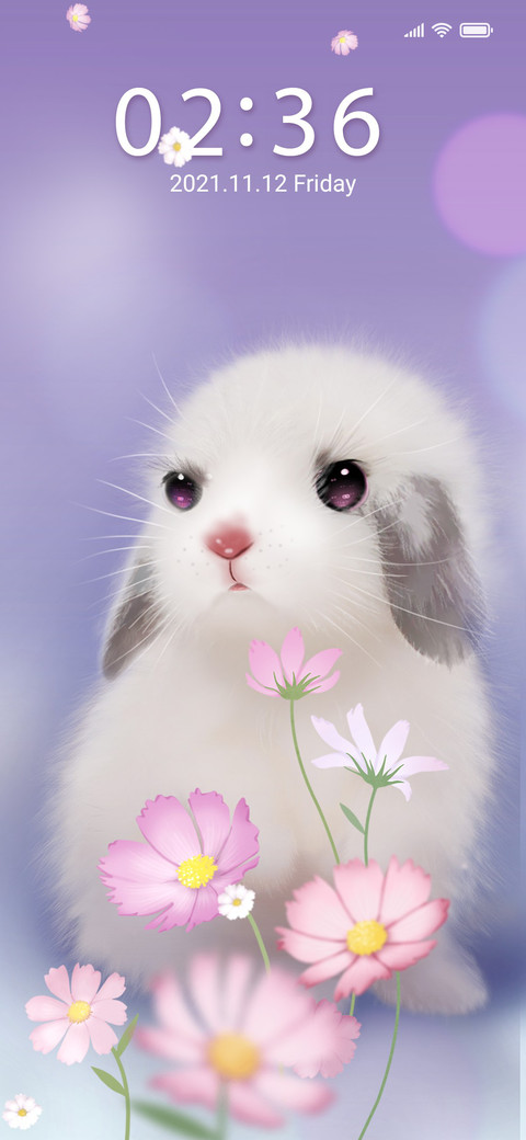 Dream rabbit preview