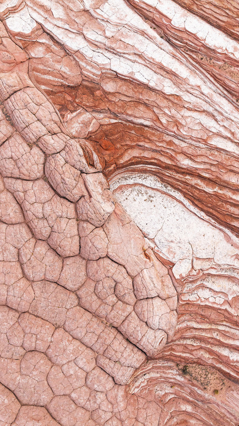 Take a palm print of the earth in north america preview