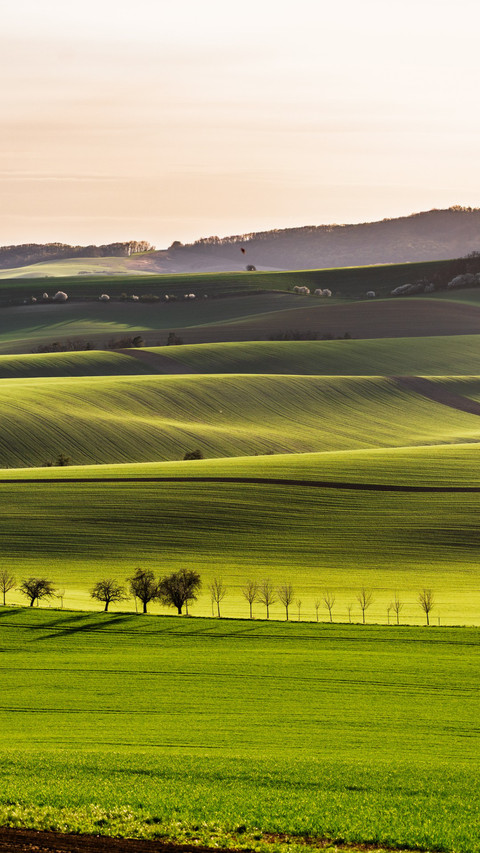The countryside sky scenery is beautiful. preview