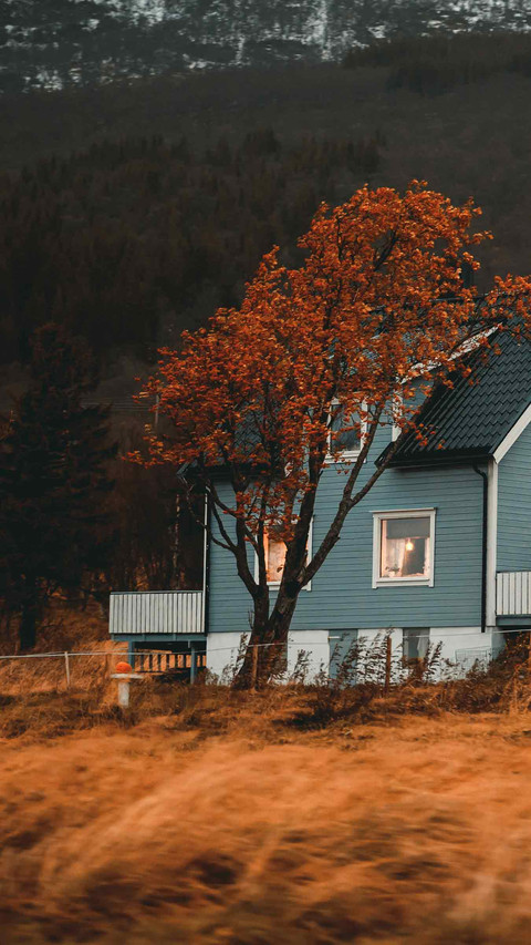 North country scene preview