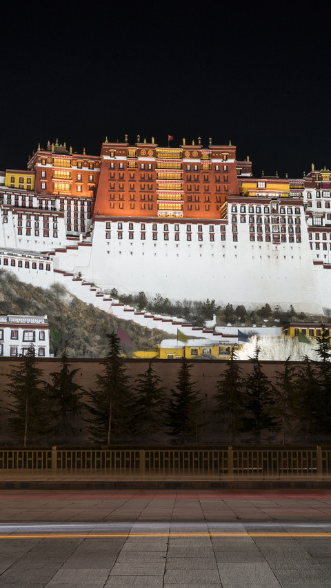 Potala Palace milk wall 26 preview