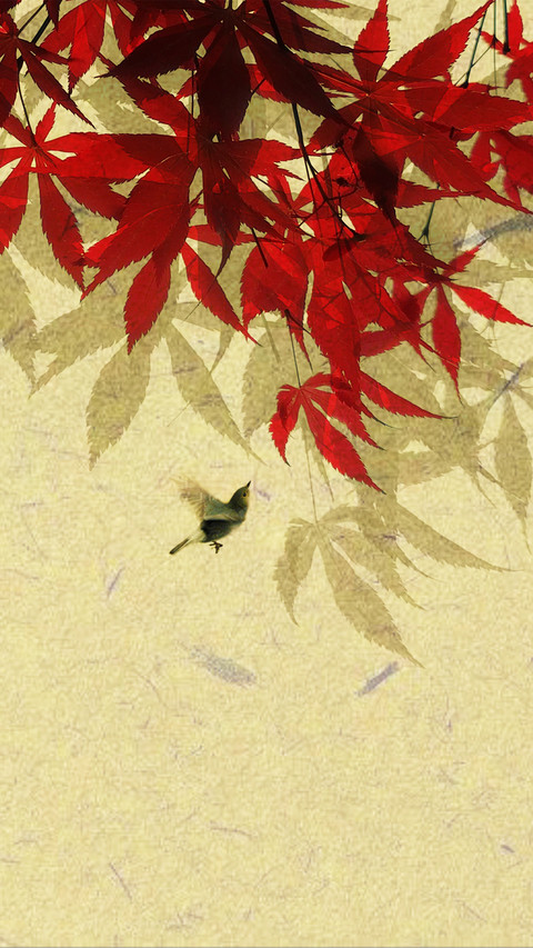 Shadows sway gracefully preview