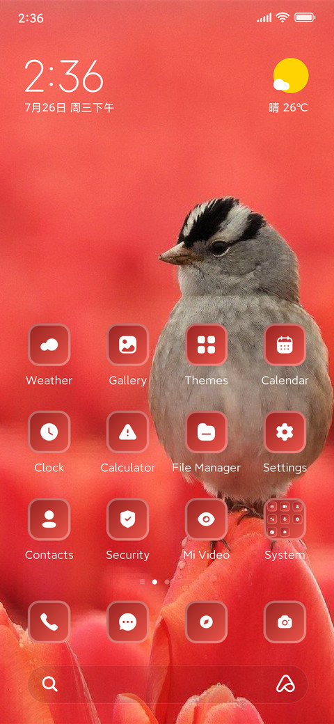Bird preview