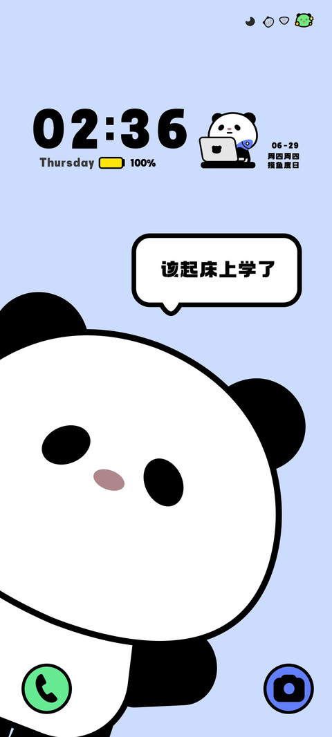 呆萌熊猫 preview
