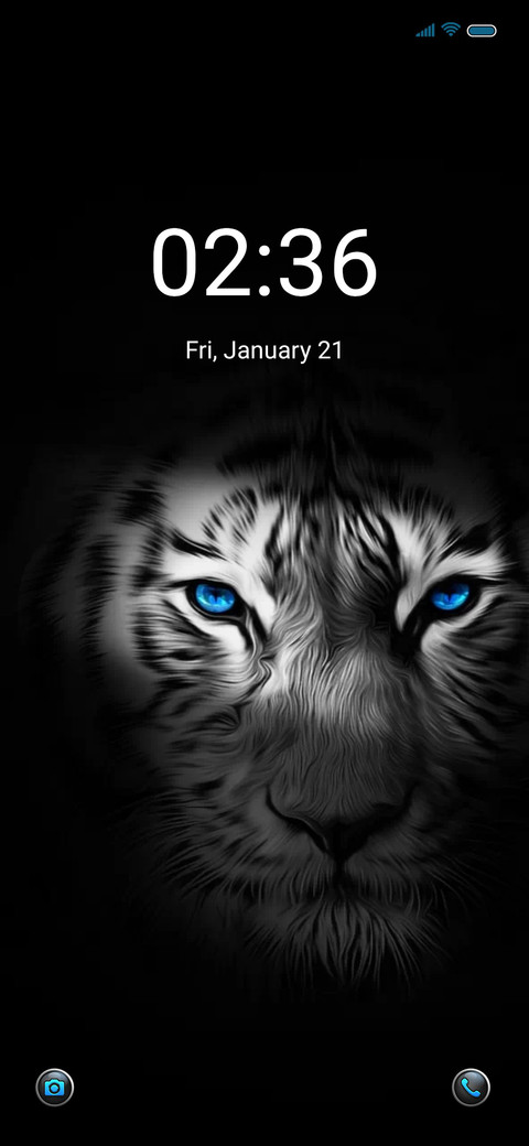 Night tiger preview
