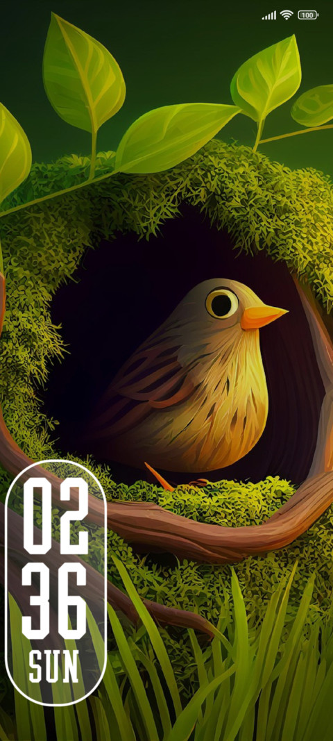 Bird preview