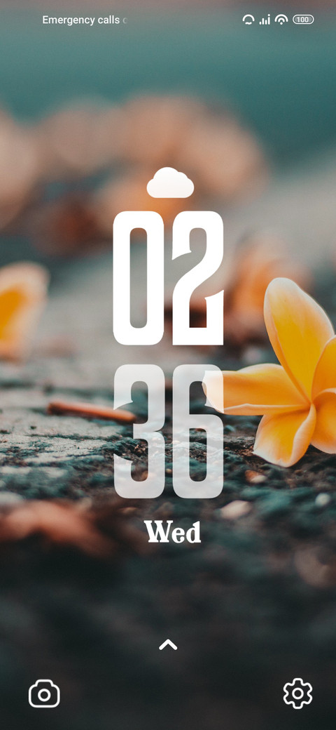 Road Flower preview
