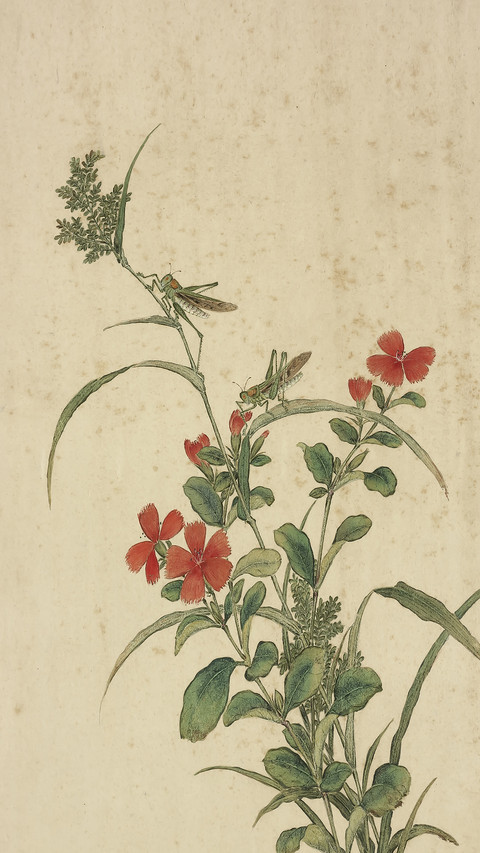 清代著名花鸟画文人 preview