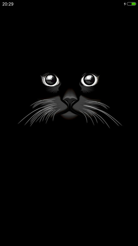 黑cat preview