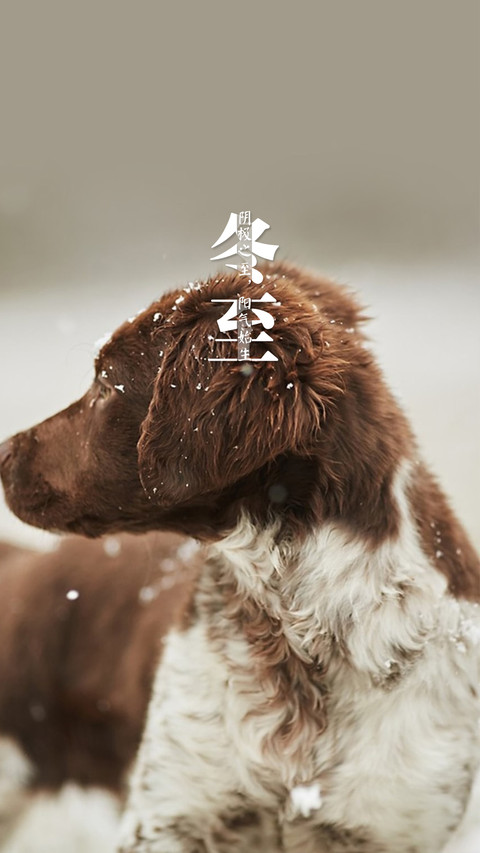 冬至 (3) preview