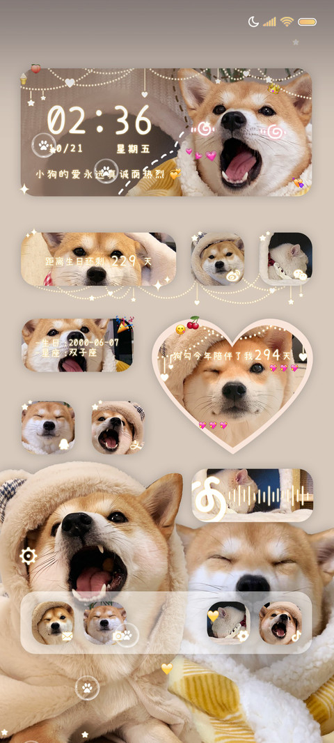 呆萌狗勾 真诚至上 preview