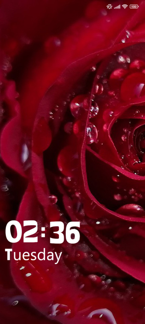 Crocus preview