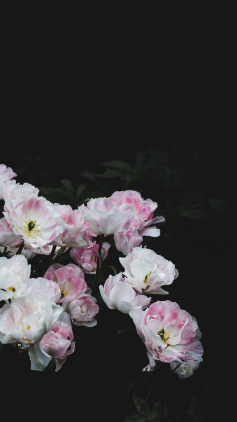 Spring (18) preview