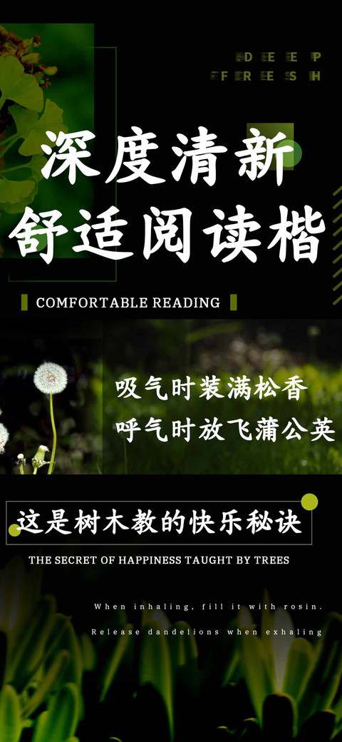 深度清新舒适阅读楷 preview