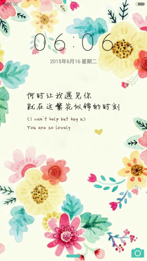 许你繁花似锦(双锁屏) preview
