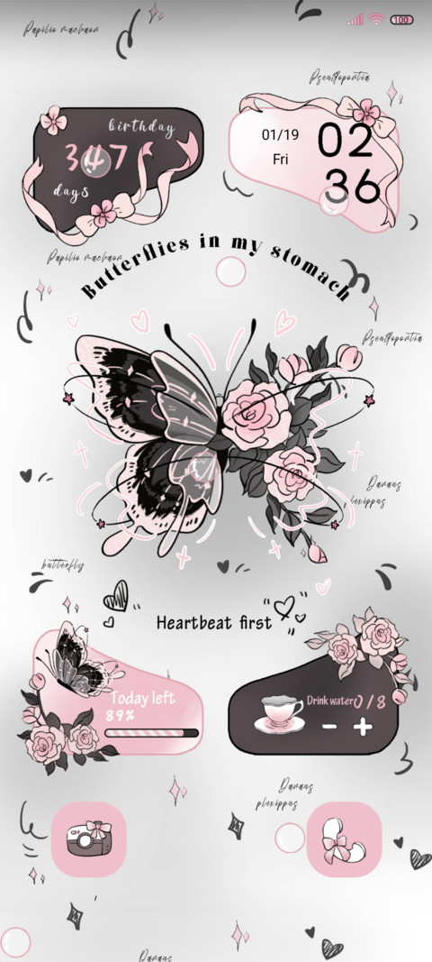 Romantic Butterfly preview
