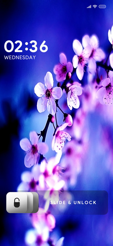 Cherry Blossom 2 preview
