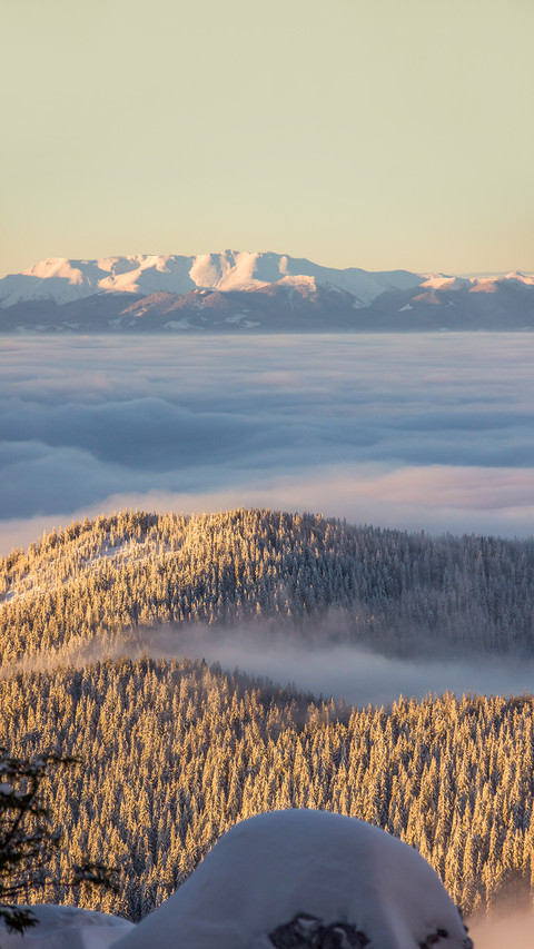 The morning with the fog preview