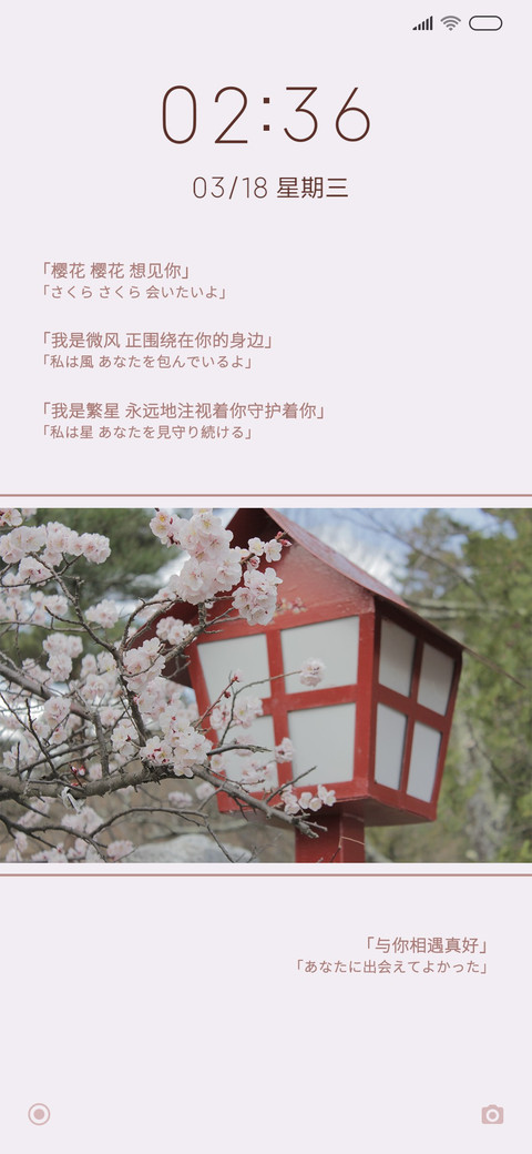 樱花樱花想见你 preview