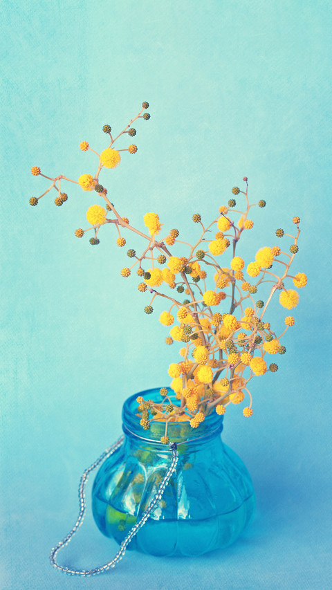 Teach you how to make homemade plant nutrient solution 5 preview