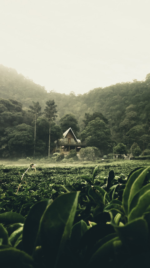 Indonesia (9) preview