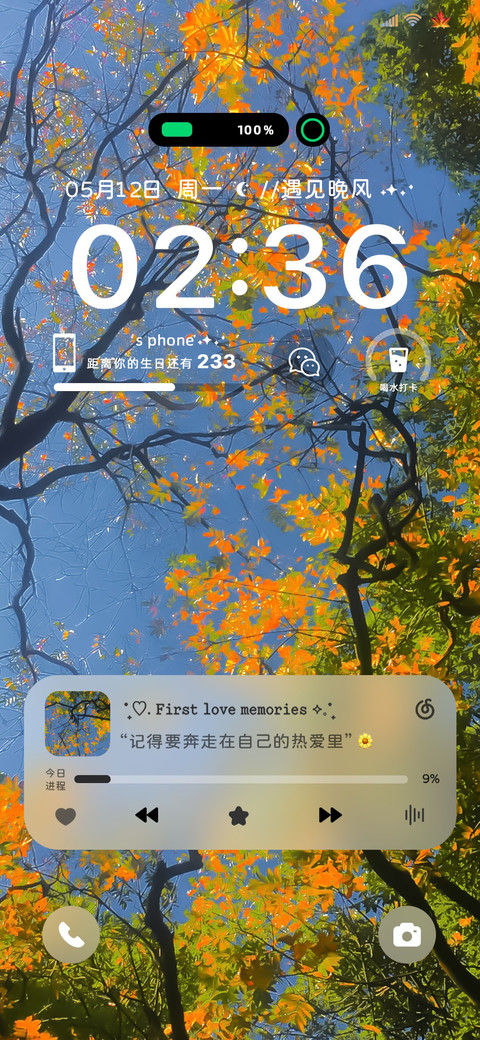 氛围感与晚风相遇 preview