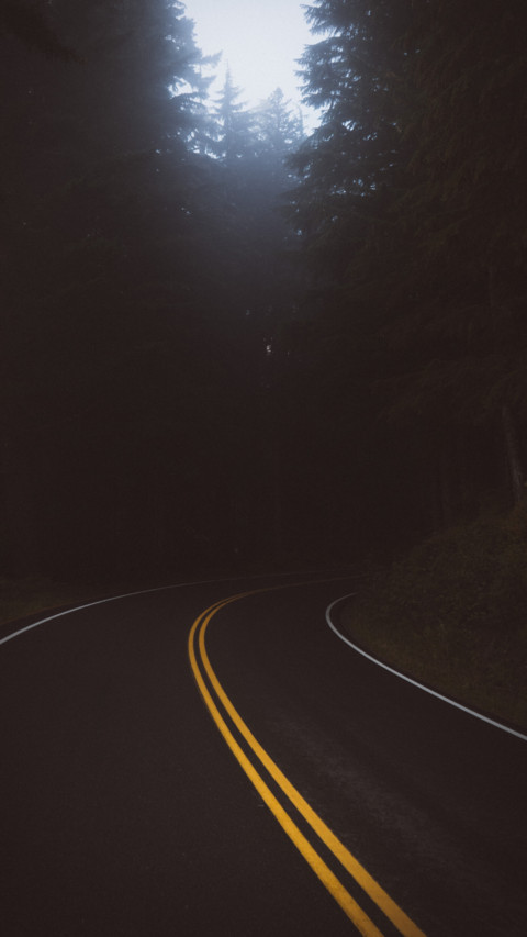 Road Trip (20) preview