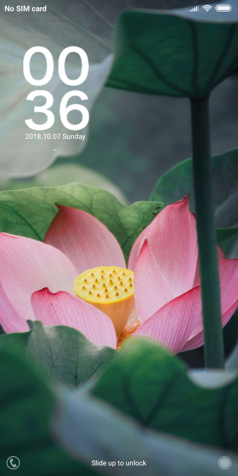 Lotus flower  preview