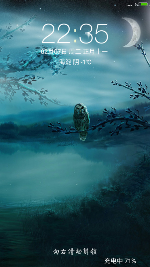 月下猫头鹰 preview
