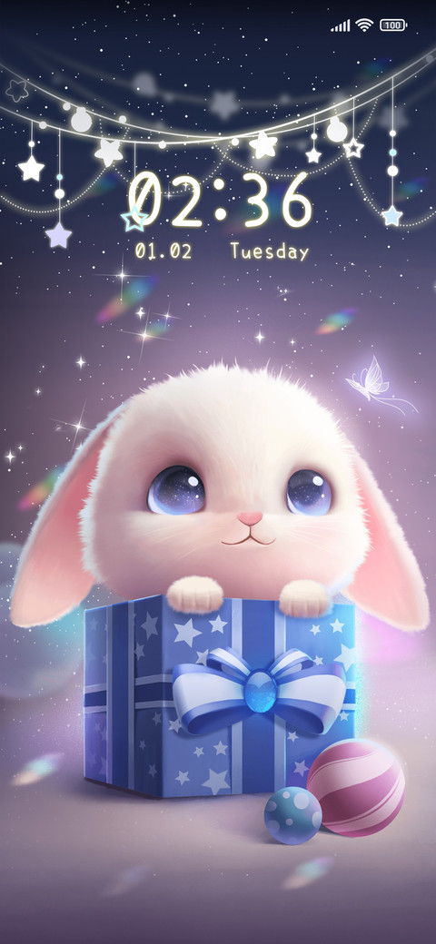 Rabbit Gift Box preview